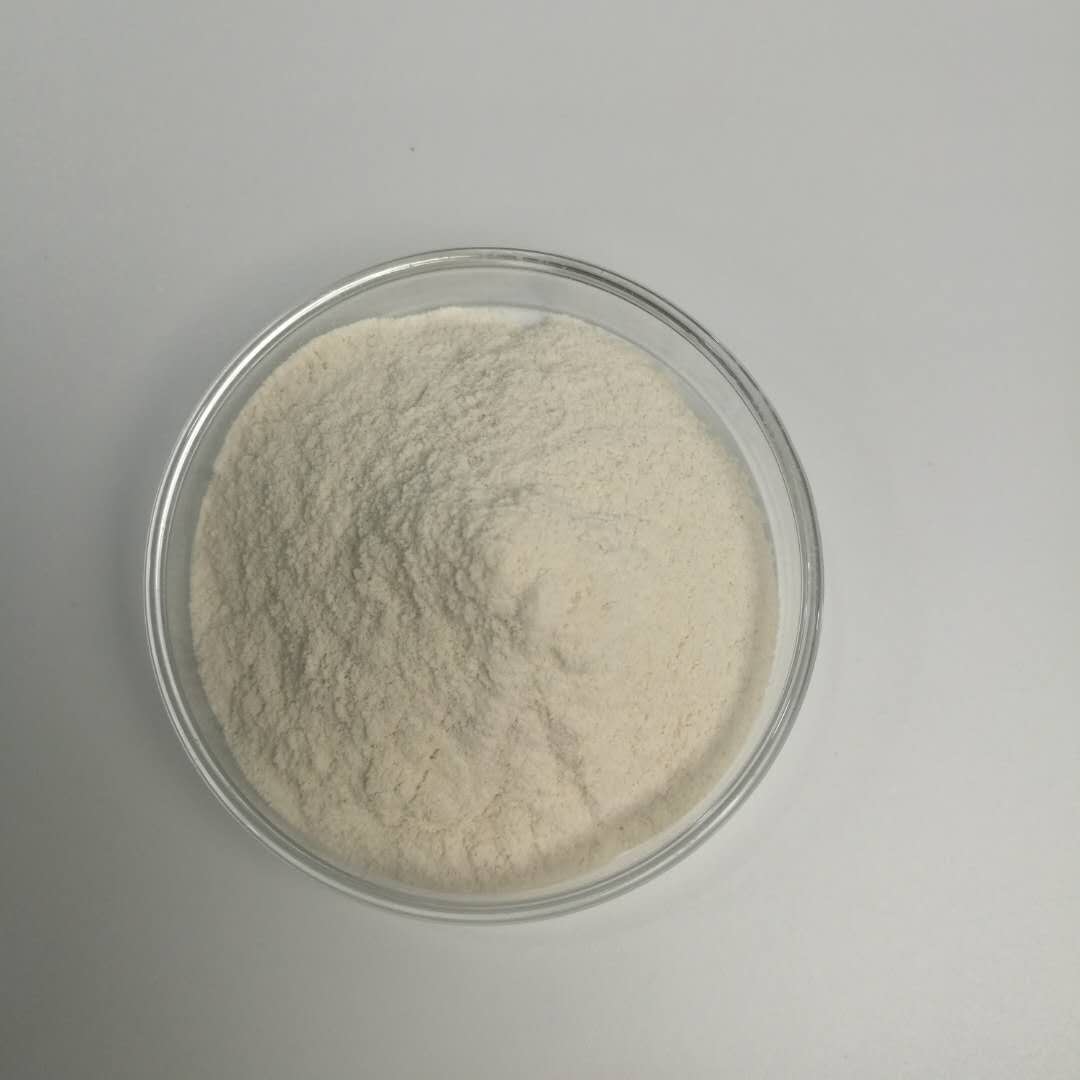 結冷膠廠家